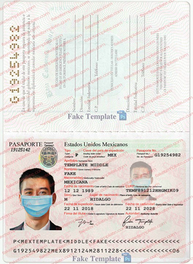 mexican passport template