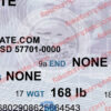 sd drivers license psd