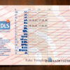 ireland drivers license back