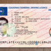 ireland driver license template