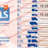 ireland driver license psd
