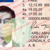 fake ireland drivers license