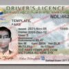 british columbia driver license template