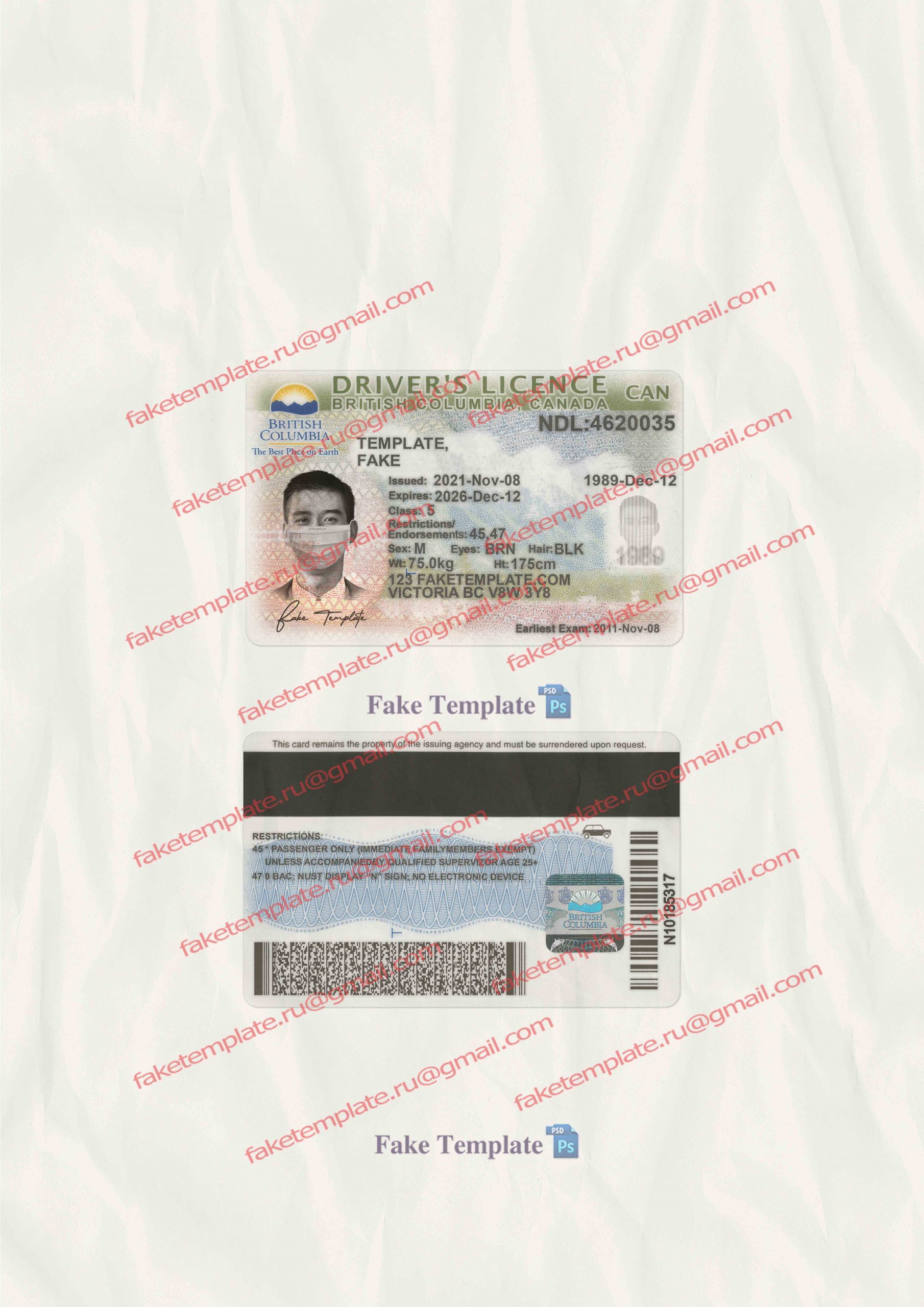 british columbia driver license template