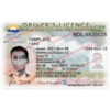 fake british columbia drivers license