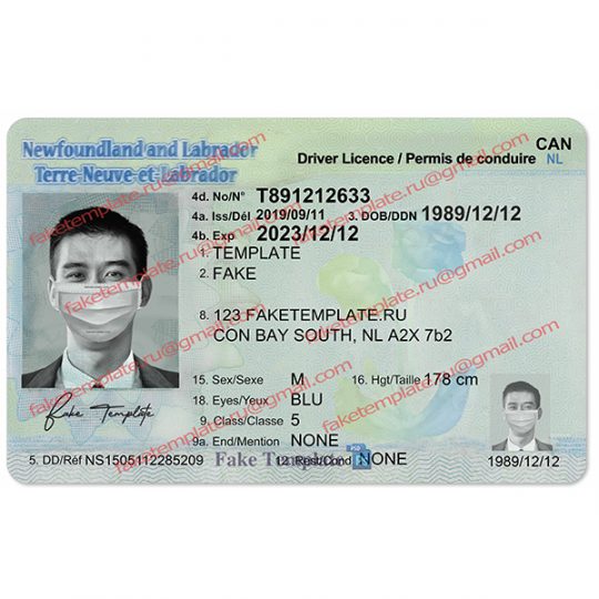 fake newfoundland driver license