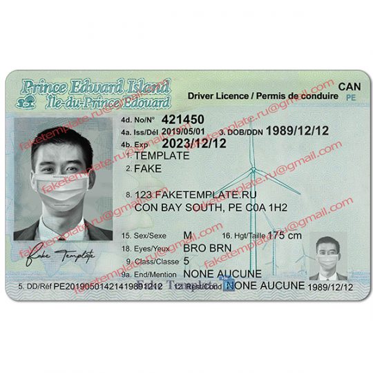 pe driver license psd