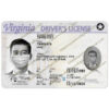 virginia driving licence psd