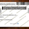 back of utah drivers license
