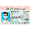 fake ut driver license