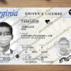 virginia drivers license template