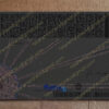 virginia drivers license back uv