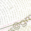 virginia driver license back