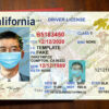 california drivers license template