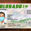 fake colorado drivers license