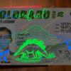 blank colorado drivers license
