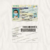ia drivers license template