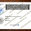 back of mississippi drivers license