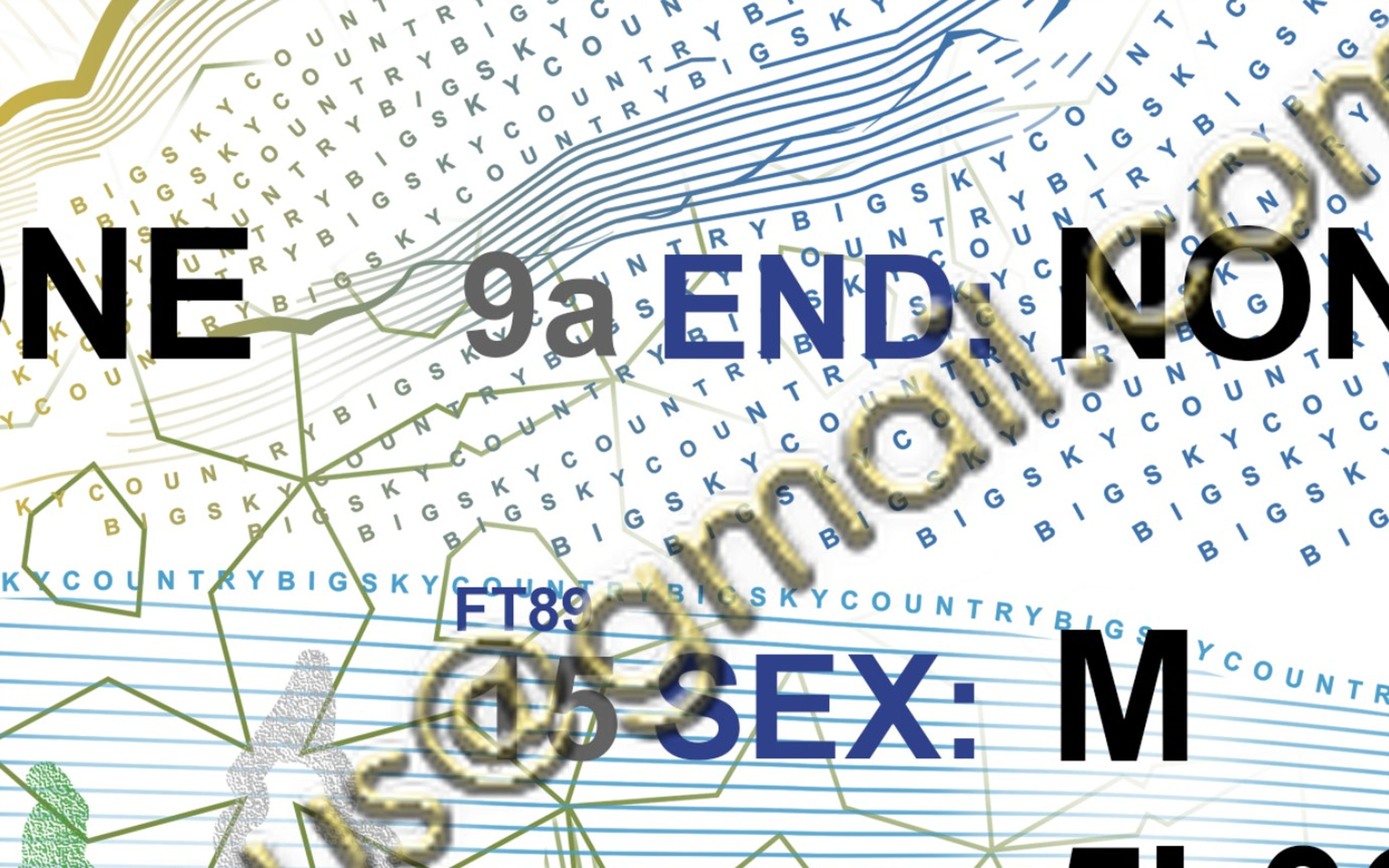 new montana driver's license