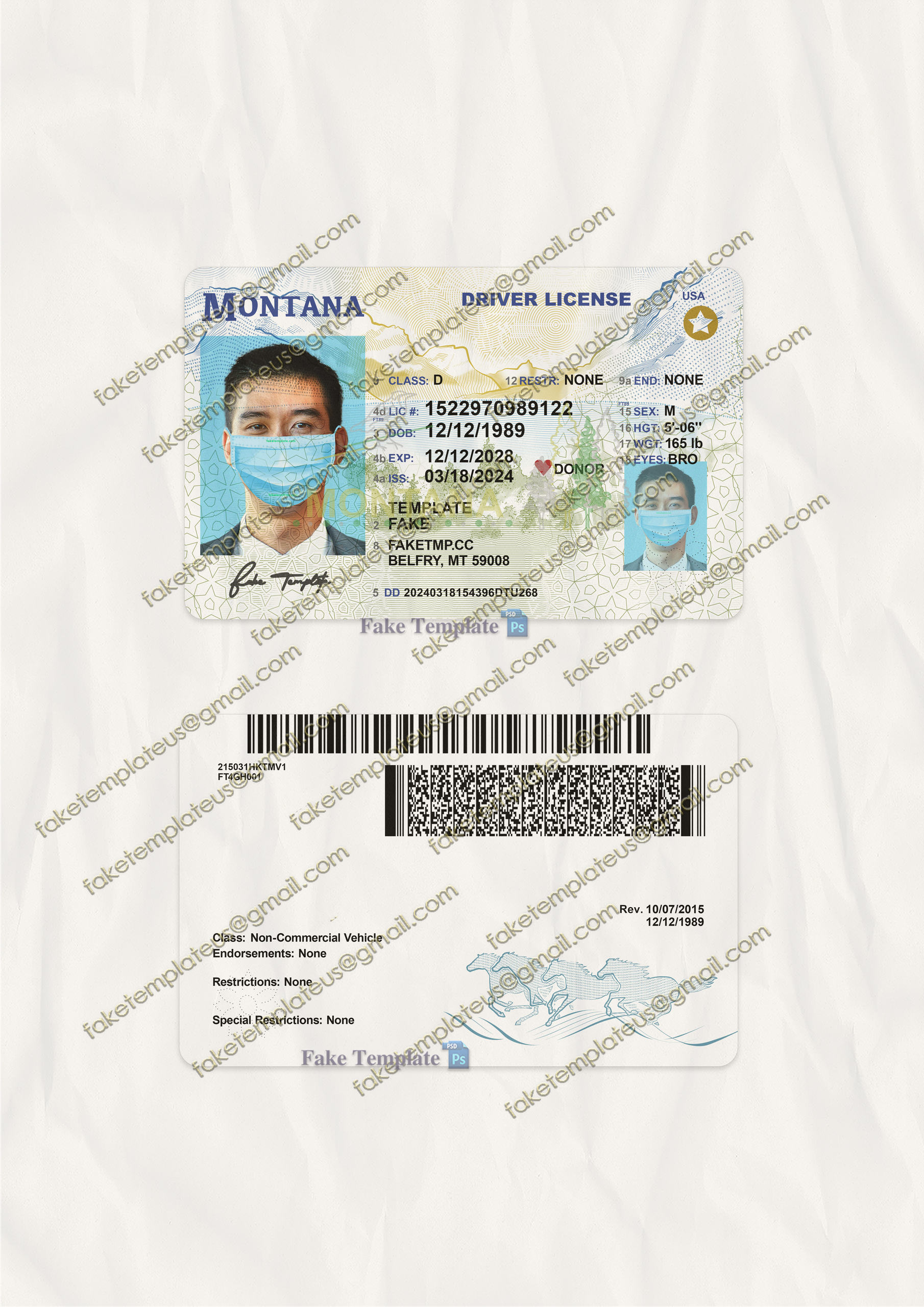 fake mt driver license