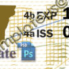 vermont driver's license template