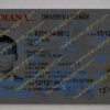 fake indiana driver's license