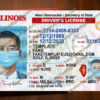 blank illinois drivers license template