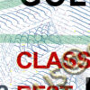 illinois new driver's license