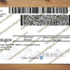 back of driver's license illinois