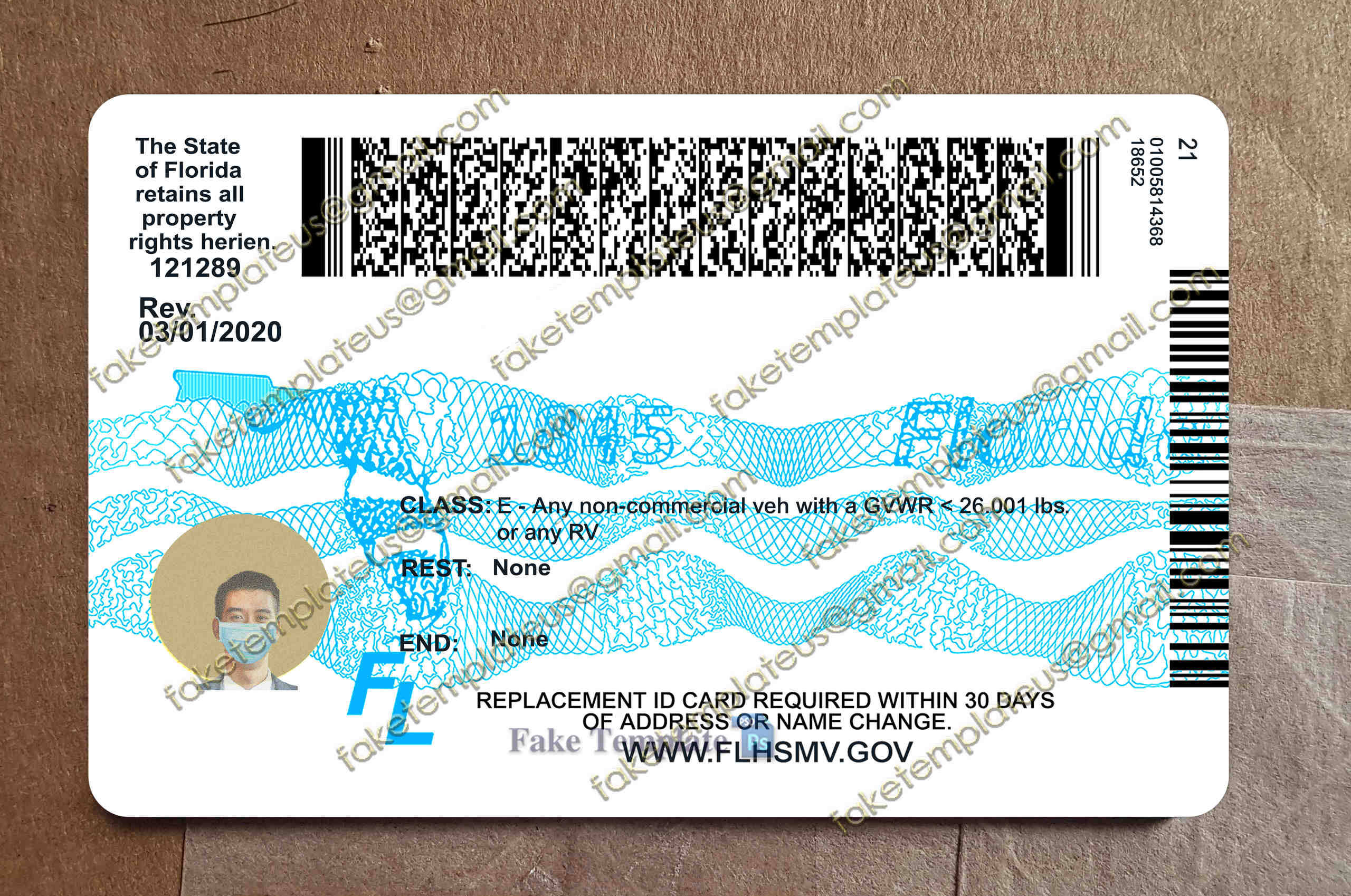 florida drivers license back