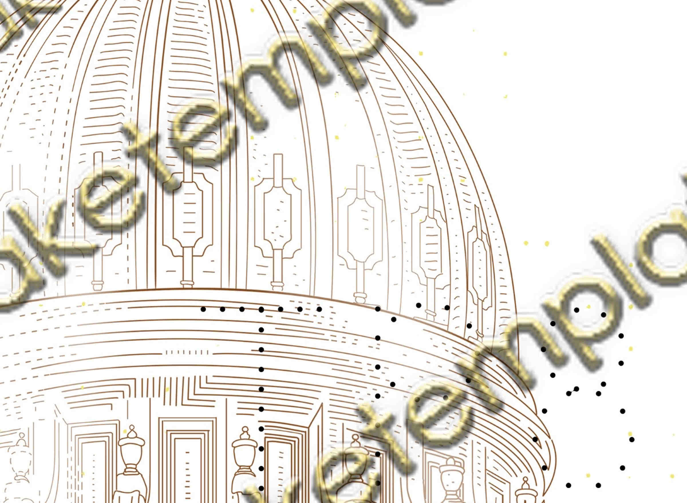 back of id driver's license